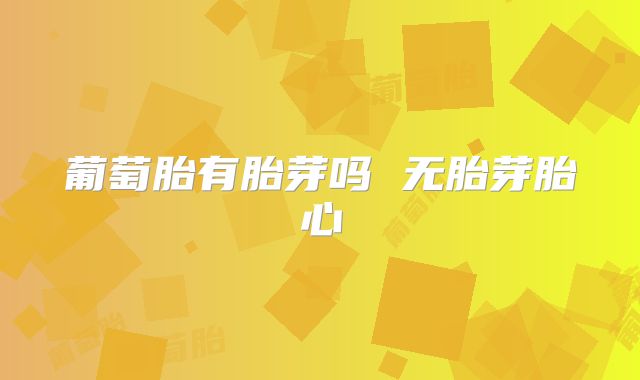 葡萄胎有胎芽吗 无胎芽胎心