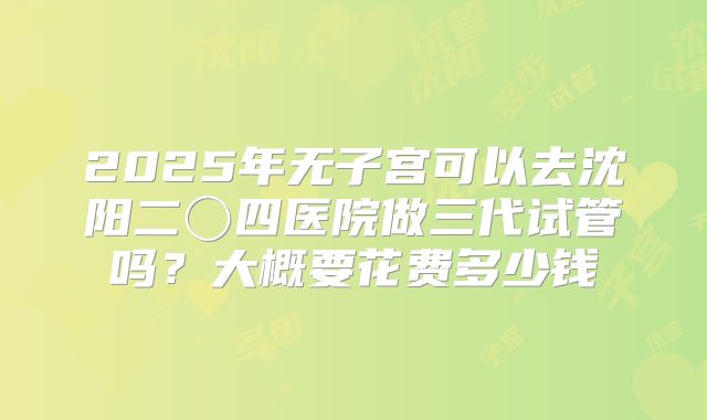 2025年无子宫可以去沈阳二〇四医院做三代试管吗？大概要花费多少钱