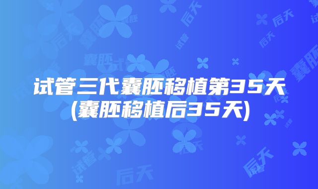 试管三代囊胚移植第35天(囊胚移植后35天)