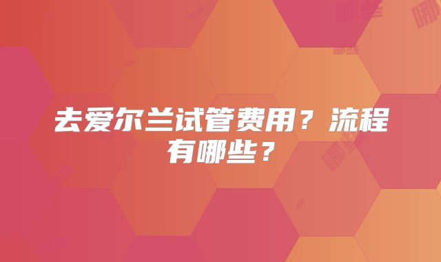 去爱尔兰试管费用？流程有哪些？
