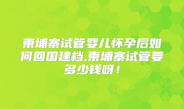 柬埔寨试管婴儿怀孕后如何回国建档,柬埔寨试管要多少钱呀!