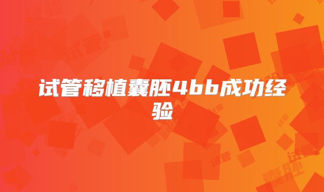 试管移植囊胚4bb成功经验