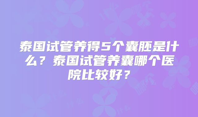 泰国试管养得5个囊胚是什么?泰国试管养囊哪个医院比较好?