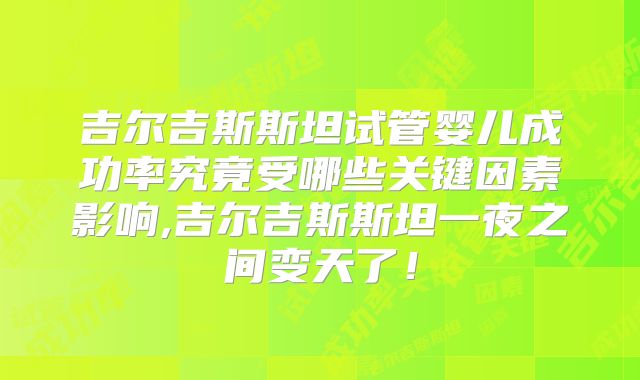 吉尔吉斯斯坦试管婴儿成功率究竟受哪些关键因素影响,吉尔吉斯斯坦一夜之间变天了！