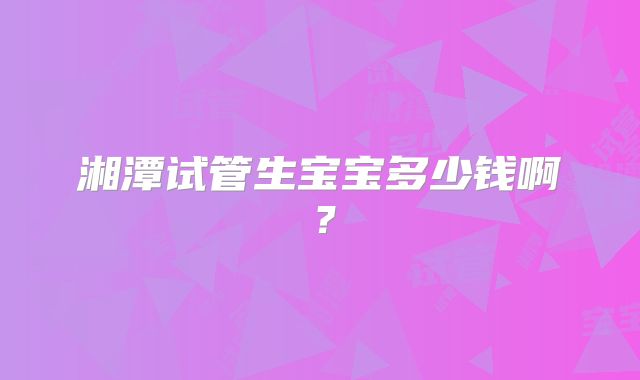 湘潭试管生宝宝多少钱啊？