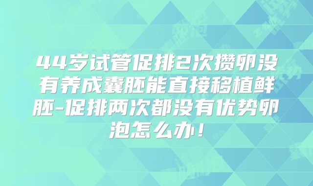 44岁试管促排2次攒卵没有养成囊胚能直接移植鲜胚-促排两次都没有优势卵泡怎么办!
