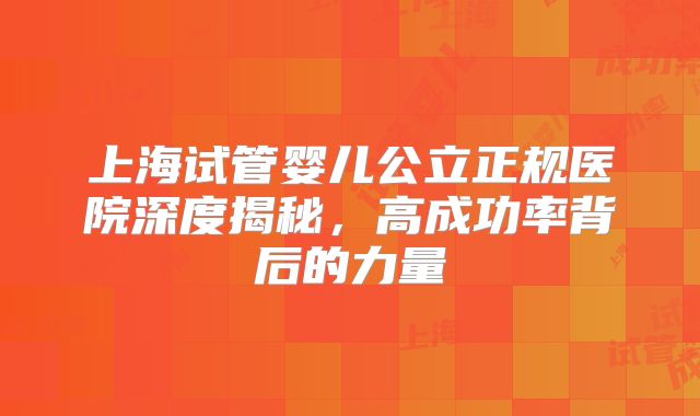 上海试管婴儿公立正规医院深度揭秘,高成功率背后的力量