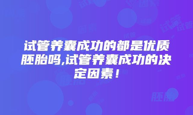 试管养囊成功的都是优质胚胎吗,试管养囊成功的决定因素！