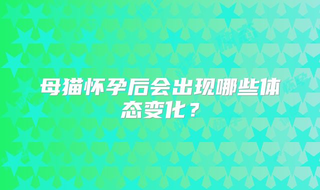 母猫怀孕后会出现哪些体态变化？