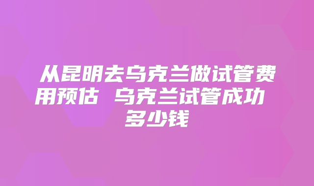 从昆明去乌克兰做试管费用预估 乌克兰试管成功 多少钱