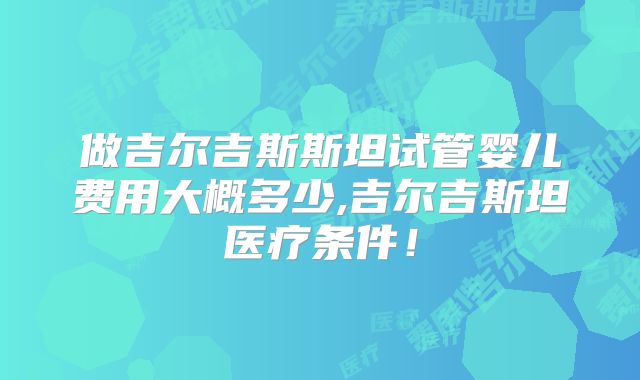 做吉尔吉斯斯坦试管婴儿费用大概多少,吉尔吉斯坦医疗条件!