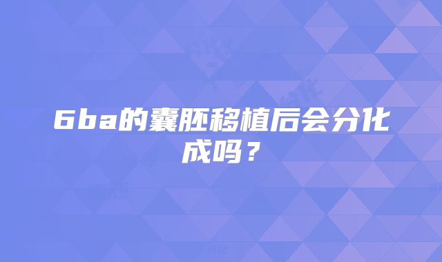 6ba的囊胚移植后会分化成吗?