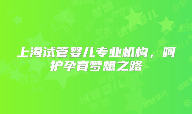 上海试管婴儿专业机构,呵护孕育梦想之路