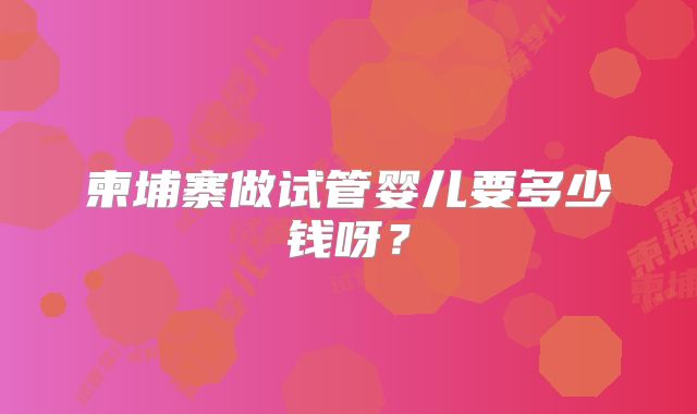 柬埔寨做试管婴儿要多少钱呀?
