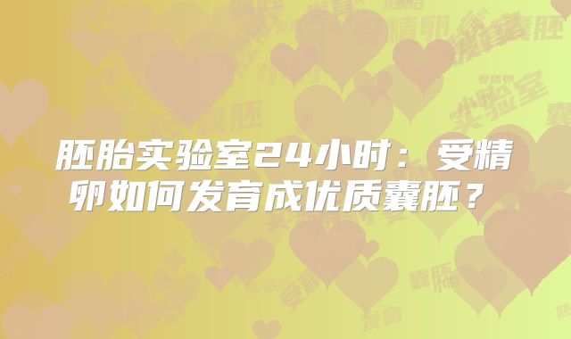 胚胎实验室24小时：受精卵如何发育成优质囊胚？‌