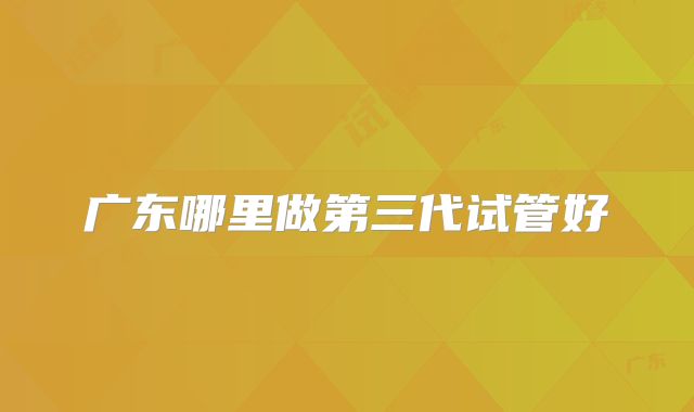 广东哪里做第三代试管好