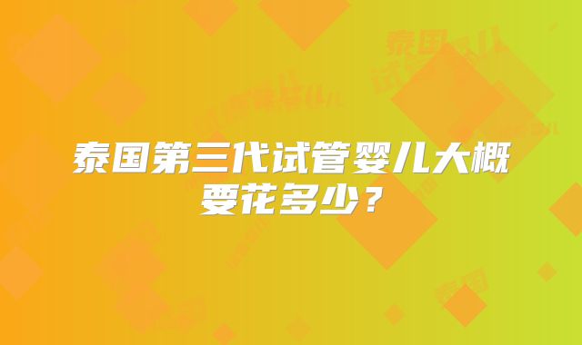 泰国第三代试管婴儿大概要花多少？