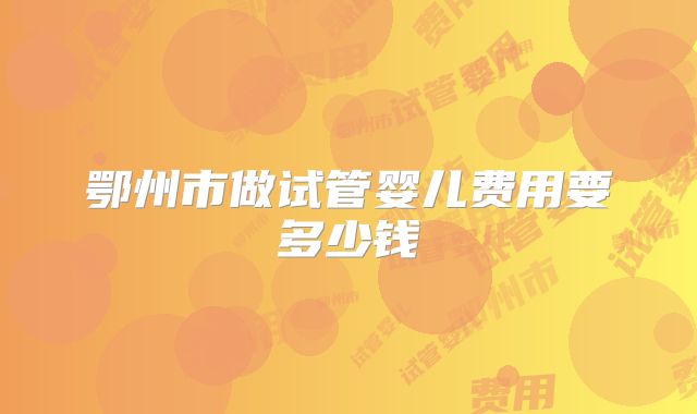 鄂州市做试管婴儿费用要多少钱