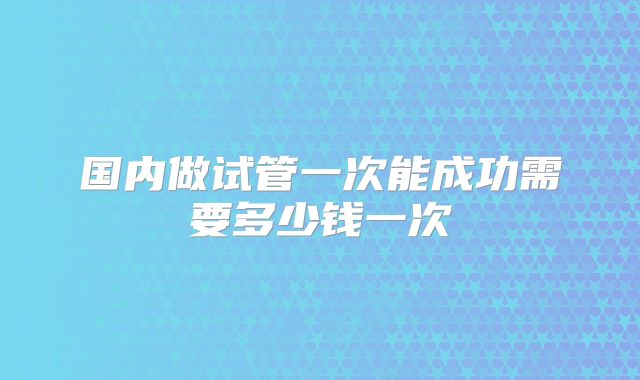 国内做试管一次能成功需要多少钱一次