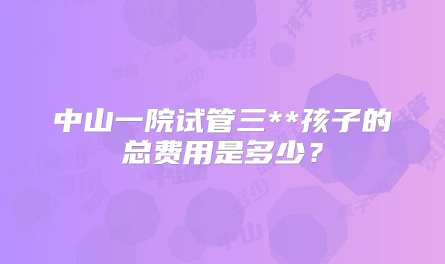 中山一院试管三**孩子的总费用是多少？