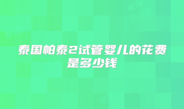 泰国帕泰2试管婴儿的花费是多少钱