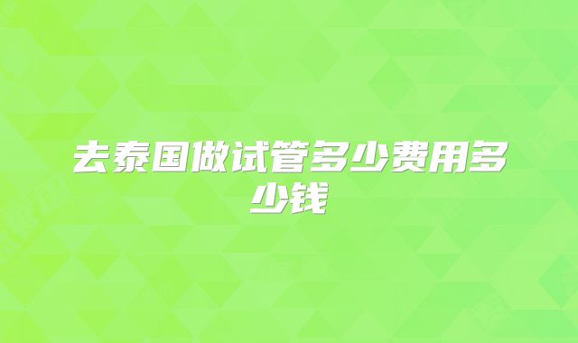 去泰国做试管多少费用多少钱