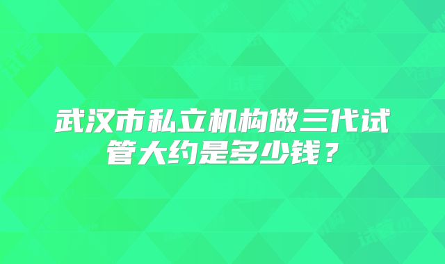 武汉市私立机构做三代试管大约是多少钱?
