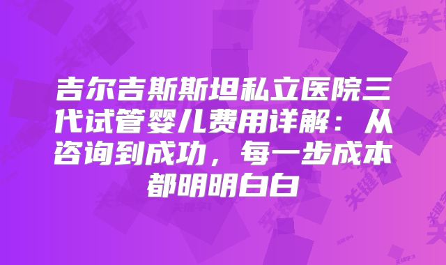 吉尔吉斯斯坦私立医院三代试管婴儿费用详解：从咨询到成功，每一步成本都明明白白