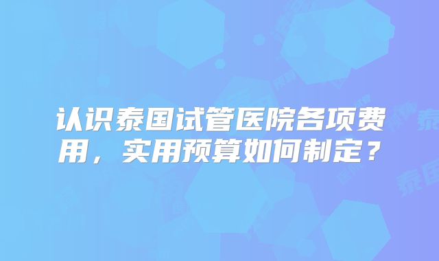 认识泰国试管医院各项费用,实用预算如何制定?