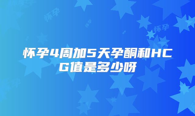 怀孕4周加5天孕酮和HCG值是多少呀