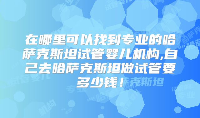 在哪里可以找到专业的哈萨克斯坦试管婴儿机构,自己去哈萨克斯坦做试管要多少钱！