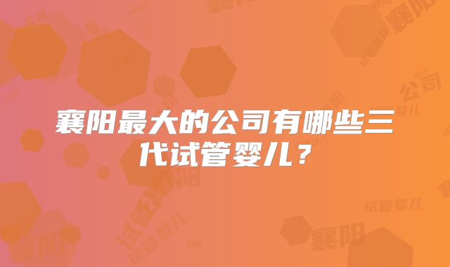 襄阳最大的公司有哪些三代试管婴儿？