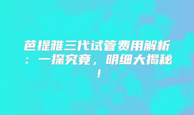 芭提雅三代试管费用解析：一探究竟，明细大揭秘！
