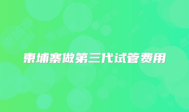 柬埔寨做第三代试管费用