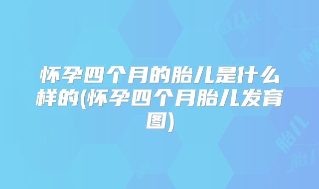 怀孕四个月的胎儿是什么样的(怀孕四个月胎儿发育图)