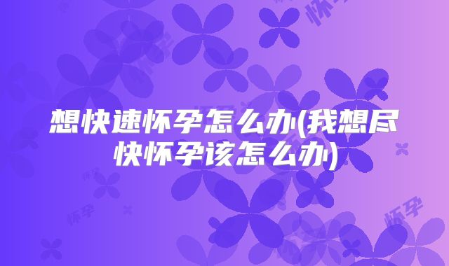 想快速怀孕怎么办(我想尽快怀孕该怎么办)