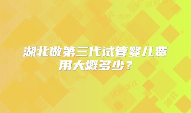 湖北做第三代试管婴儿费用大概多少？