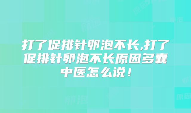 打了促排针卵泡不长,打了促排针卵泡不长原因多囊中医怎么说!