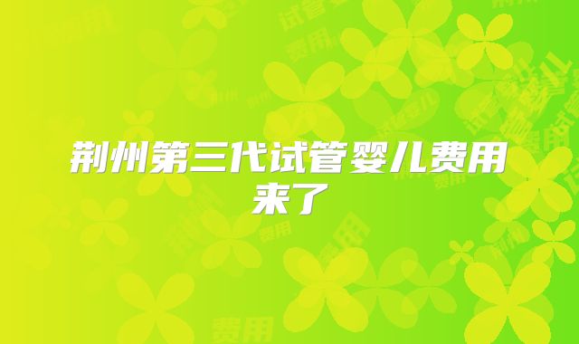 荆州第三代试管婴儿费用来了