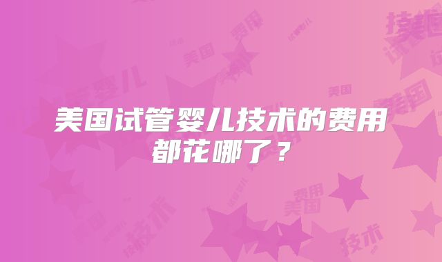 美国试管婴儿技术的费用都花哪了？