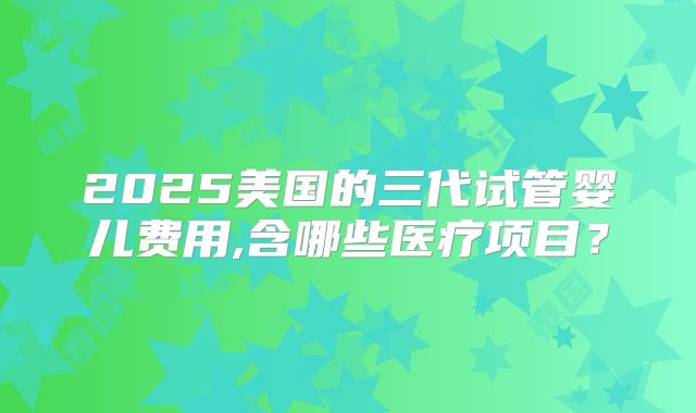 2025美国的三代试管婴儿费用,含哪些医疗项目？