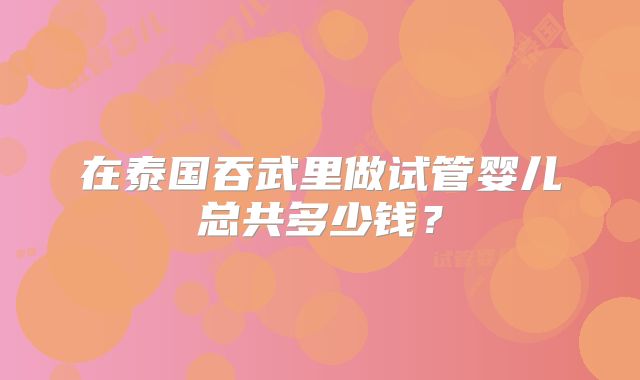 在泰国吞武里做试管婴儿总共多少钱?