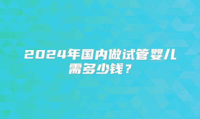 2024年国内做试管婴儿需多少钱？