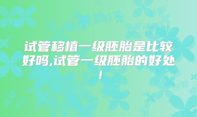 试管移植一级胚胎是比较好吗,试管一级胚胎的好处！