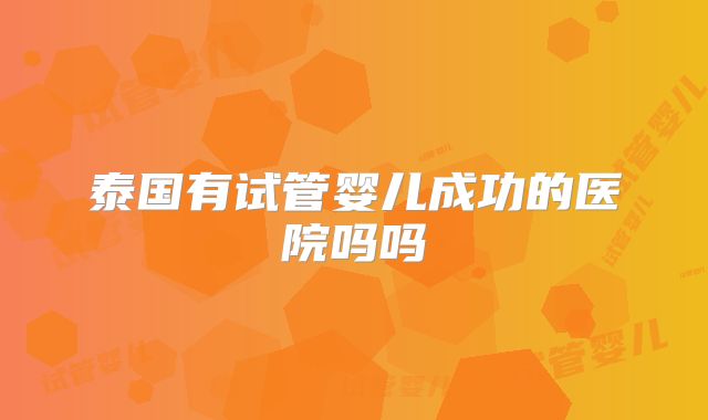 泰国有试管婴儿成功的医院吗吗