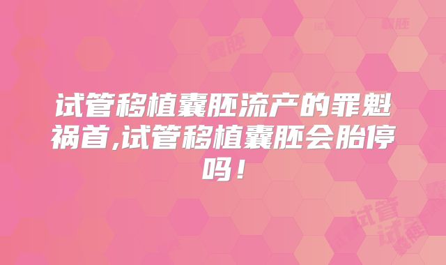 试管移植囊胚流产的罪魁祸首,试管移植囊胚会胎停吗！