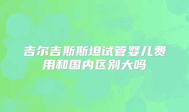 吉尔吉斯斯坦试管婴儿费用和国内区别大吗