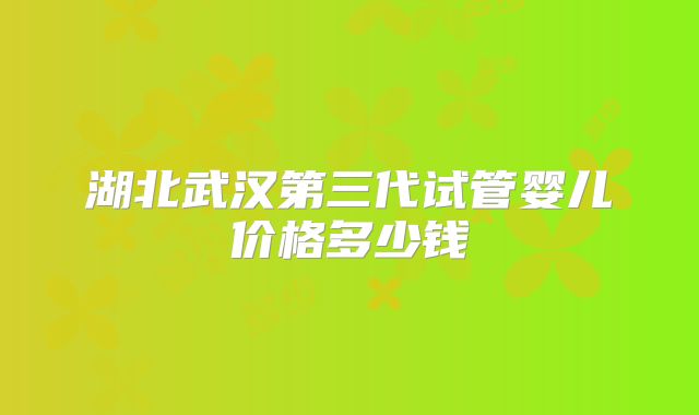 湖北武汉第三代试管婴儿价格多少钱
