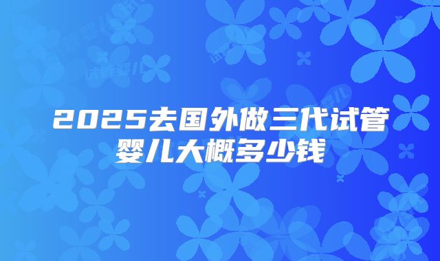 2025去国外做三代试管婴儿大概多少钱