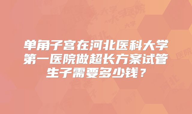 单角子宫在河北医科大学第一医院做超长方案试管生子需要多少钱？